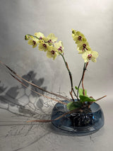 creative evening 25.03.2025