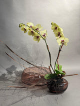 creative evening 25.03.2025