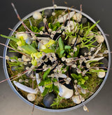 creative evening 15.04.2025