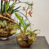 small round amber bowl (translucent)